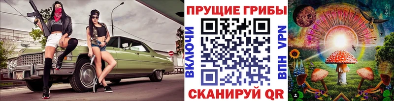 Псилоцибиновые грибы Cubensis  darknet официальный сайт  Хилок 